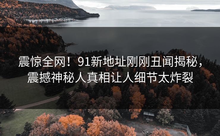震惊全网！91新地址刚刚丑闻揭秘，震撼神秘人真相让人细节太炸裂