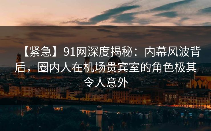 【紧急】91网深度揭秘：内幕风波背后，圈内人在机场贵宾室的角色极其令人意外  第1张