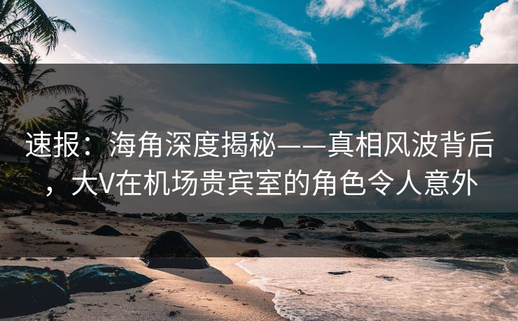 速报：海角深度揭秘——真相风波背后，大V在机场贵宾室的角色令人意外  第1张