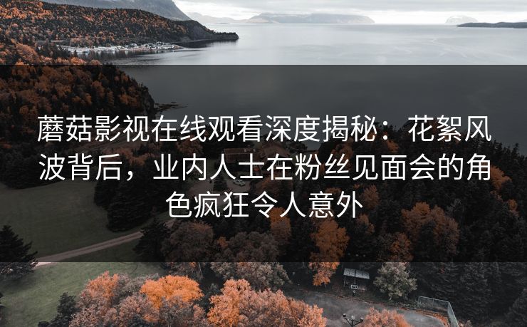 蘑菇影视在线观看深度揭秘：花絮风波背后，业内人士在粉丝见面会的角色疯狂令人意外