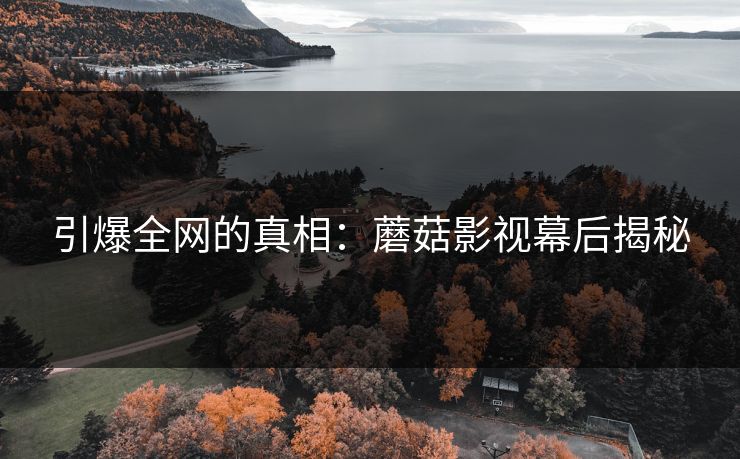 引爆全网的真相：蘑菇影视幕后揭秘
