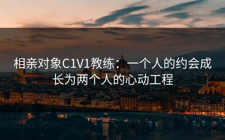 相亲对象C1V1教练：一个人的约会成长为两个人的心动工程  第1张