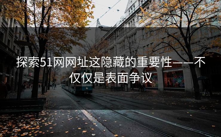 探索51网网址这隐藏的重要性——不仅仅是表面争议  第1张